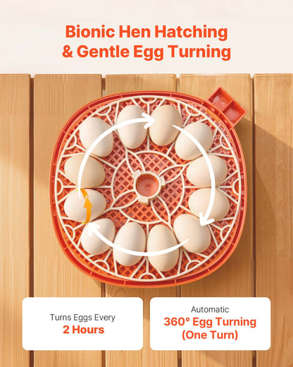 12 Egg Incubator, Automatic Egg Turner with LED Candler, Temperature & Humidity Control, 360° View Clear Window, Poultry Eggs Incubator for Home Farm, Hatching Chicks Ducks Goose Quail