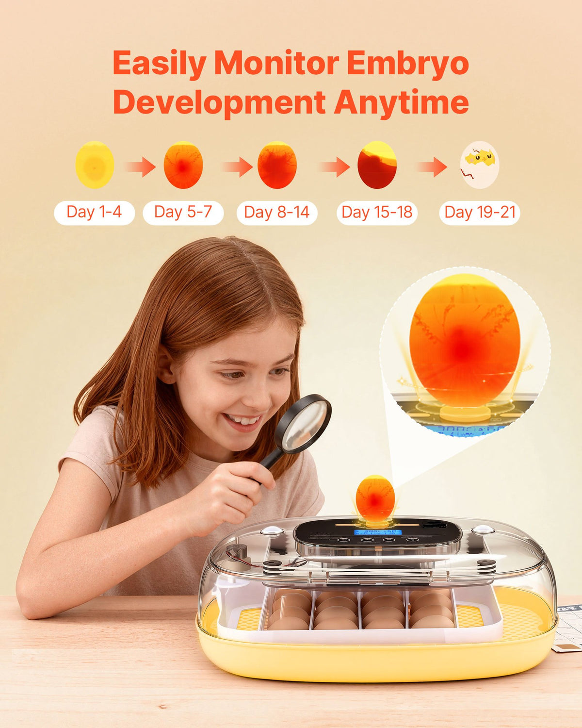 24 Egg Incubator, Automatic Egg Turner with LED Candler, Temperature & Humidity Control, 360° View Clear Window, Auto Water Refill, Poultry Eggs Incubators for Hatching Chicks Ducks Goose Quail
