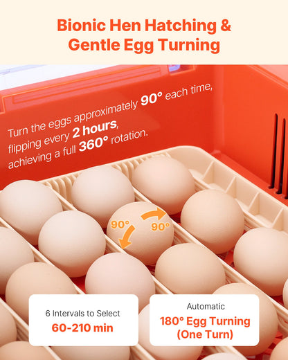 36 Egg Incubator, Automatic Egg Turner with LED Candler & Water Tray, Temperature & Humidity Control, 360° View Clear Window, Poultry Eggs Incubators for Hatching Chicks Ducks Goose Quails