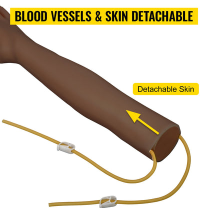 Intravenöst övningsarmkit med mörk hud Flebotomiarm Tillverkad av PVC-material Perfekta flebotomipresenter till sjuksköterskor IV-övningsarmkit med kompletta tillbehör (ENDAST FÖR UTBILDNINGSBRUK)