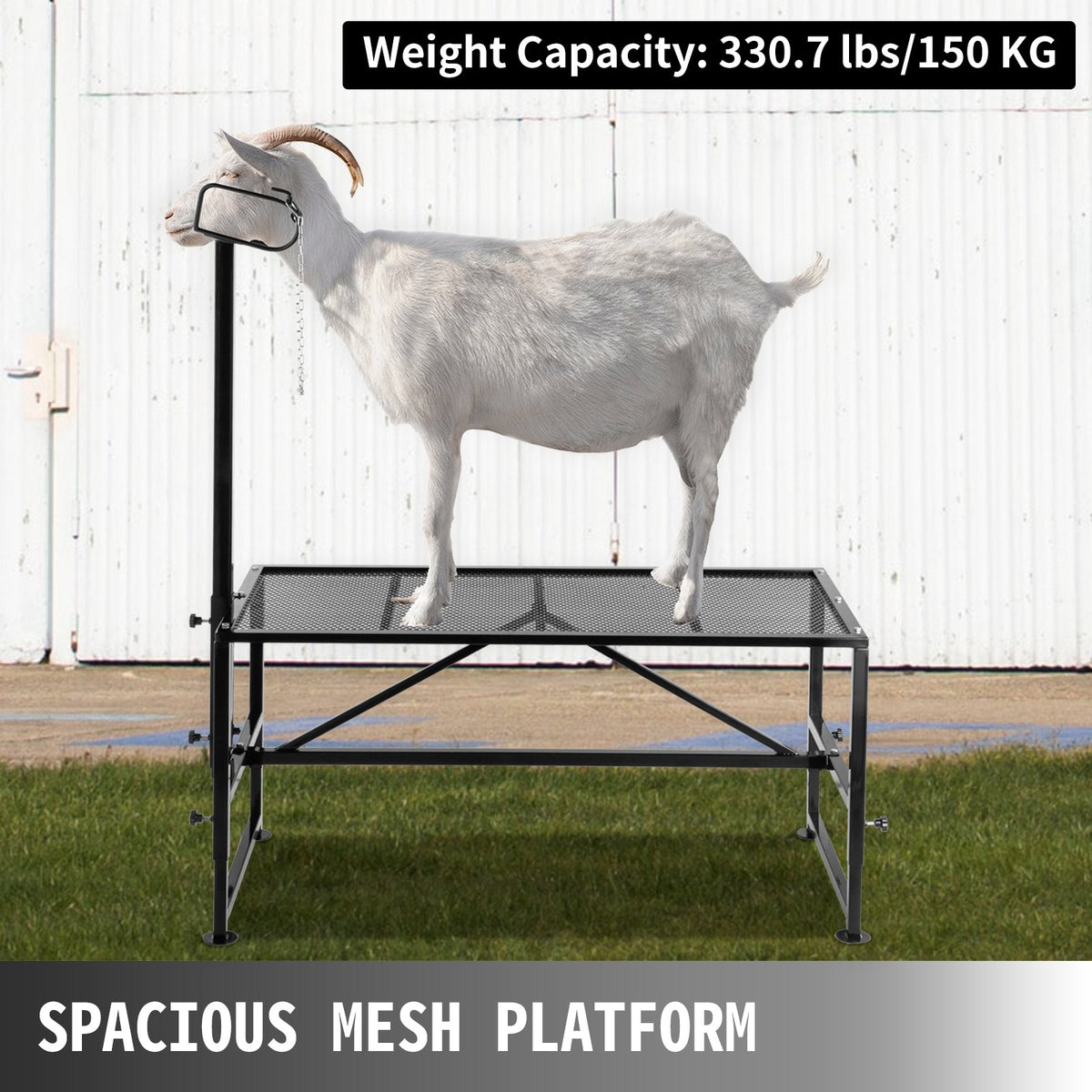 Livestock Stand 51x23 inches, Trimming Stand with Straight Head Piece, Goat Trimming Stand Metal Frame Sheep Shearing Stand Livestock Trimming Stands