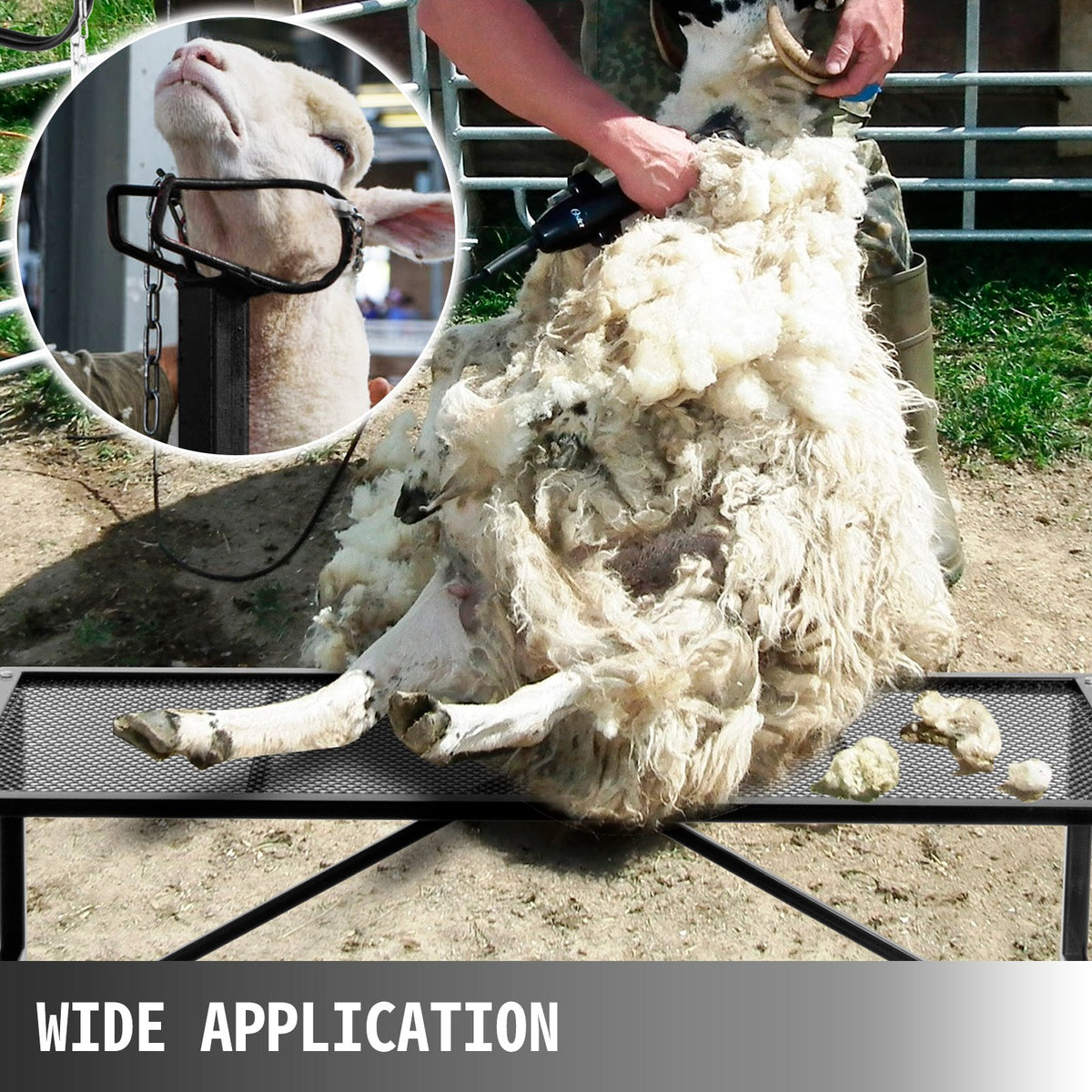 Livestock Stand 51x23 inches, Trimming Stand with Straight Head Piece, Goat Trimming Stand Metal Frame Sheep Shearing Stand Livestock Trimming Stands